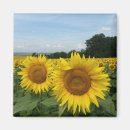 Zoek naar zonnebloem magneten Voor hem/haar