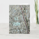 Zoek naar storm fotografie Natuur