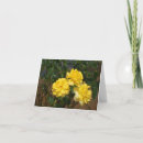 Zoek naar tuinbloemen briefkaarten Rozen