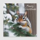 Zoek naar chipmunk kaarten Winter