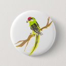 Zoek naar tak buttons Vogel