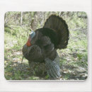 Zoek naar wilde eend muismatten Buiten