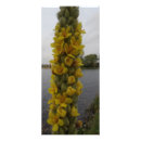 Zoek naar geel reclamekaarten Elk persoon