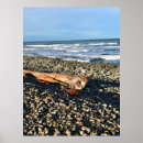 Zoek naar driftwood kunst Golven