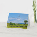 Zoek naar zeegezicht kaarten Eiland