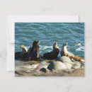 Zoek naar diego kaarten Californië