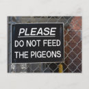 Zoek naar duiven briefkaarten Duif