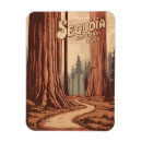 Zoek naar vintage national park magneten Californië