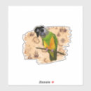 Zoek naar schatkaart stickers Papegaai