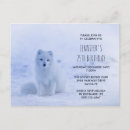 Zoek naar snow fox briefkaarten Natuur