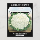 Zoek naar bloemkool briefkaarten Voor iedereen