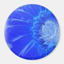 Zoek naar gerbera magneten Blauw
