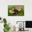 Zoek naar champignons posters Paddenstoel