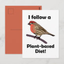 Zoek naar rode vink briefkaarten Natuur