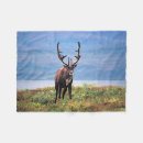 Zoek naar peter dekens Danita delimont