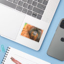 Zoek naar orang oetan stickers Primaten