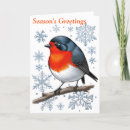 Zoek naar roodborstje kaarten Kerstmis