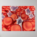 Zoek naar cytoplasma posters Wetenschap