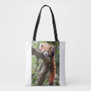 Zoek naar rode panda accessoires Natuur
