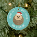 Zoek naar egel kerstdecoratie Feestdagen
