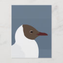Zoek naar zeemeeuw briefkaarten Vogel