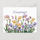 Zoek naar iris briefkaarten Paars
