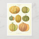 Zoek naar meloen briefkaarten Vintage