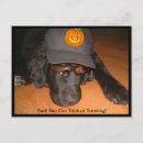 Zoek naar halloween snoep briefkaarten Humor