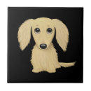 Zoek naar teckel tegels Dachshund