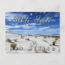 Zoek naar zand duin briefkaarten Duinen