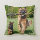 Zoek naar german shepherd kussens Huisdier