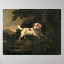 Zoek naar clumber spaniel posters Edward