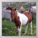 Zoek naar indische kunst Paarden