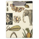 Zoek naar klemborden Natuur