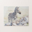 Zoek naar zebra puzzels Dier