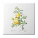 Zoek naar rose tegels Bloemen