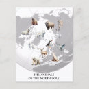 Zoek naar dieren briefkaarten Wild