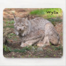 Zoek naar lynx muismatten Natuur