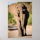 Zoek naar vooraanzicht kunst Kleurfoto