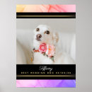 Zoek naar roze hond posters Voor iedereen