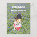 Zoek naar grappige verticale briefkaarten Hond