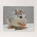 Zoek naar ratten puzzels Schattig