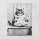 Zoek naar toiletten briefkaarten Grappig