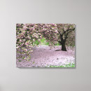 Zoek naar kersen kunst Boom