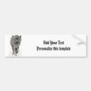 Zoek naar canis bumperstickers Wolf