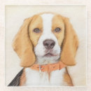 Zoek naar beagle onderzetters Hond