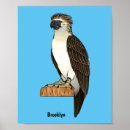 Zoek naar cartoon adelaar posters Vogel
