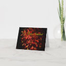 Zoek naar bromelia kaarten Tuin