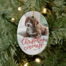 Zoek naar huisdier ornamenten Puppy