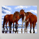 Zoek naar paard strand posters Voor iedereen